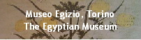 Museo Egizio, Torino
The Egyptian Museum